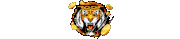 tigerkoin logo